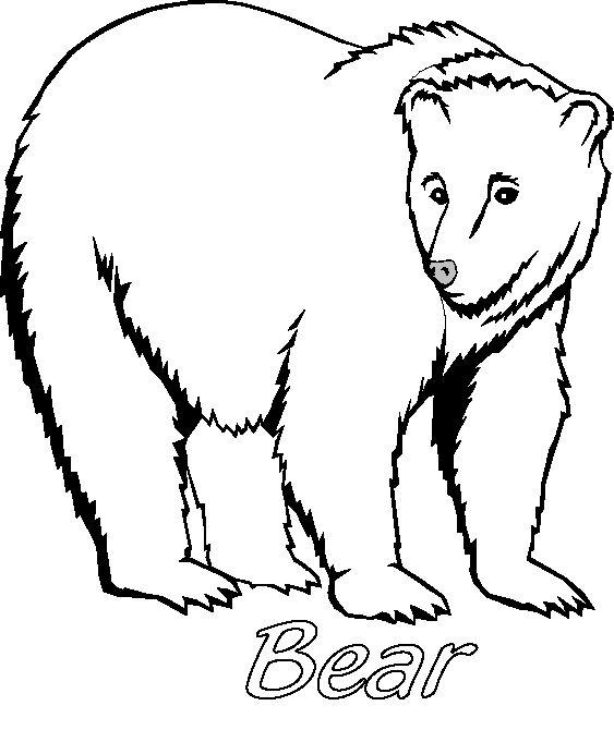 Hibernating Bear Coloring Sheet Sketch Coloring Page